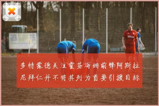 多特蒙德关注霍芬海姆前锋阿斯拉尼拜仁并不将其列为首要引援目标