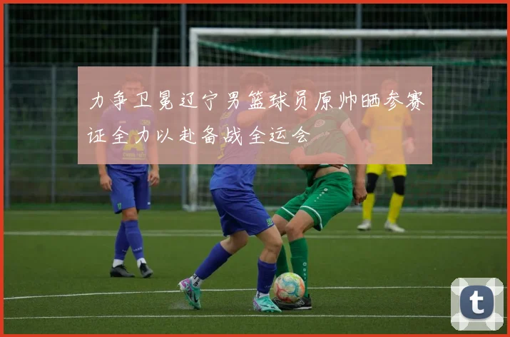 力争卫冕辽宁男篮球员原帅晒参赛证全力以赴备战全运会